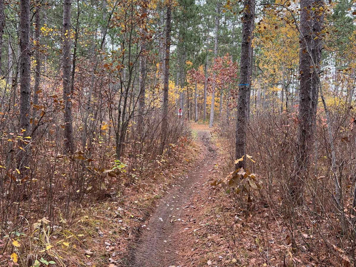 NE Huntersville Winding Woods photo 4