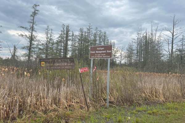 Hulligan Lake & Carol Truck Trail