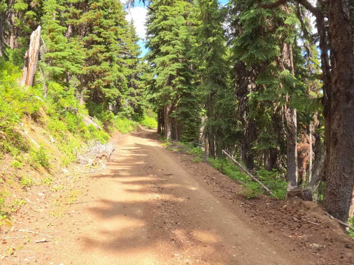 Snowshoe Pass - FSR 488 photo 4