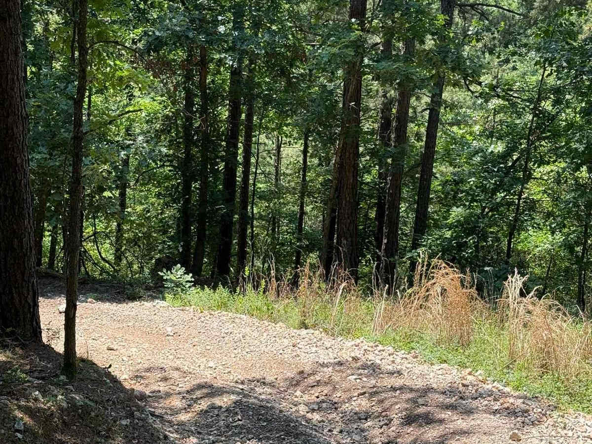 Casen's Trail photo 3