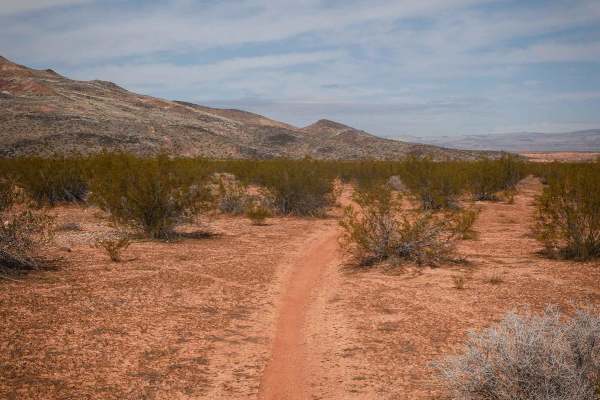 Connector Single Track