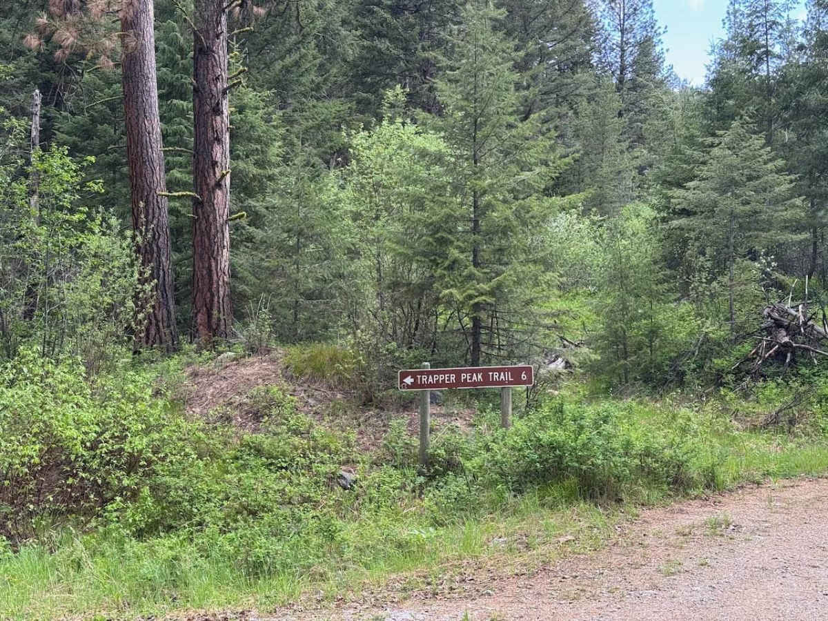 Trapper Peak photo 2