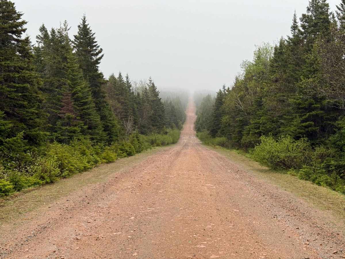 Kelly Road trail photo
