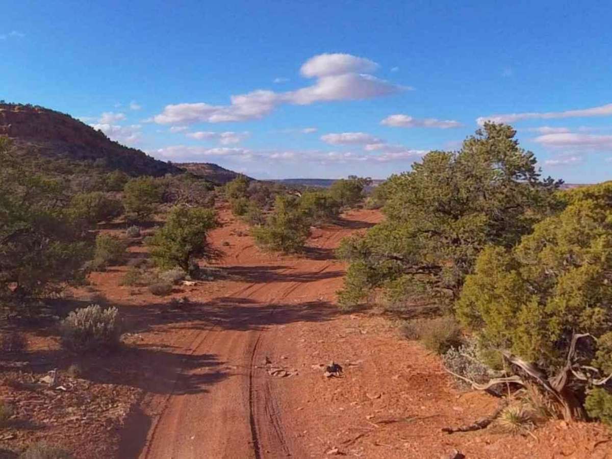 Two Pipe Springs-BLM16260 photo 3