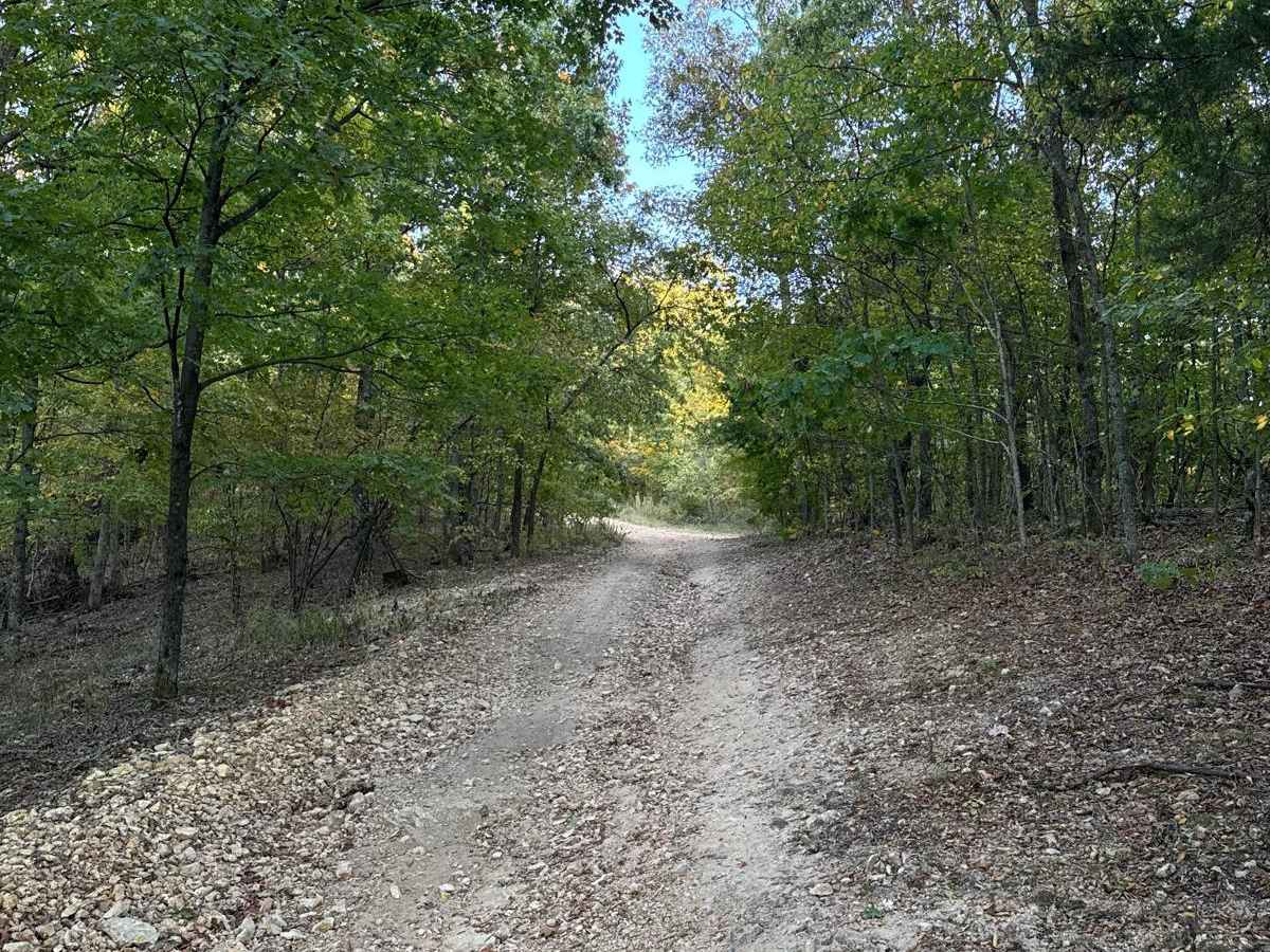 Green 15 trail photo