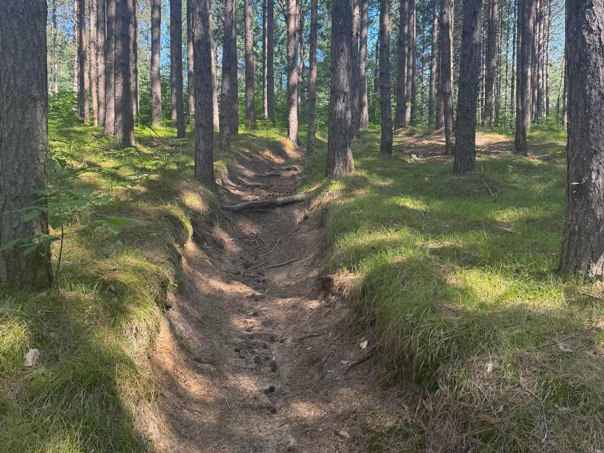 Missaukee Junction trail photo