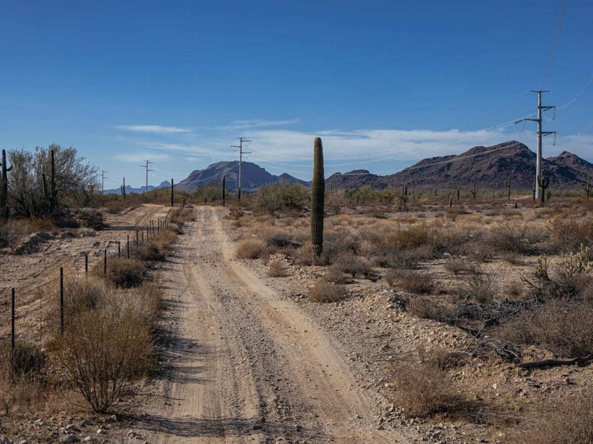 24080 Trail photo 3