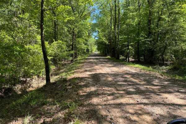 Fox Camp Road