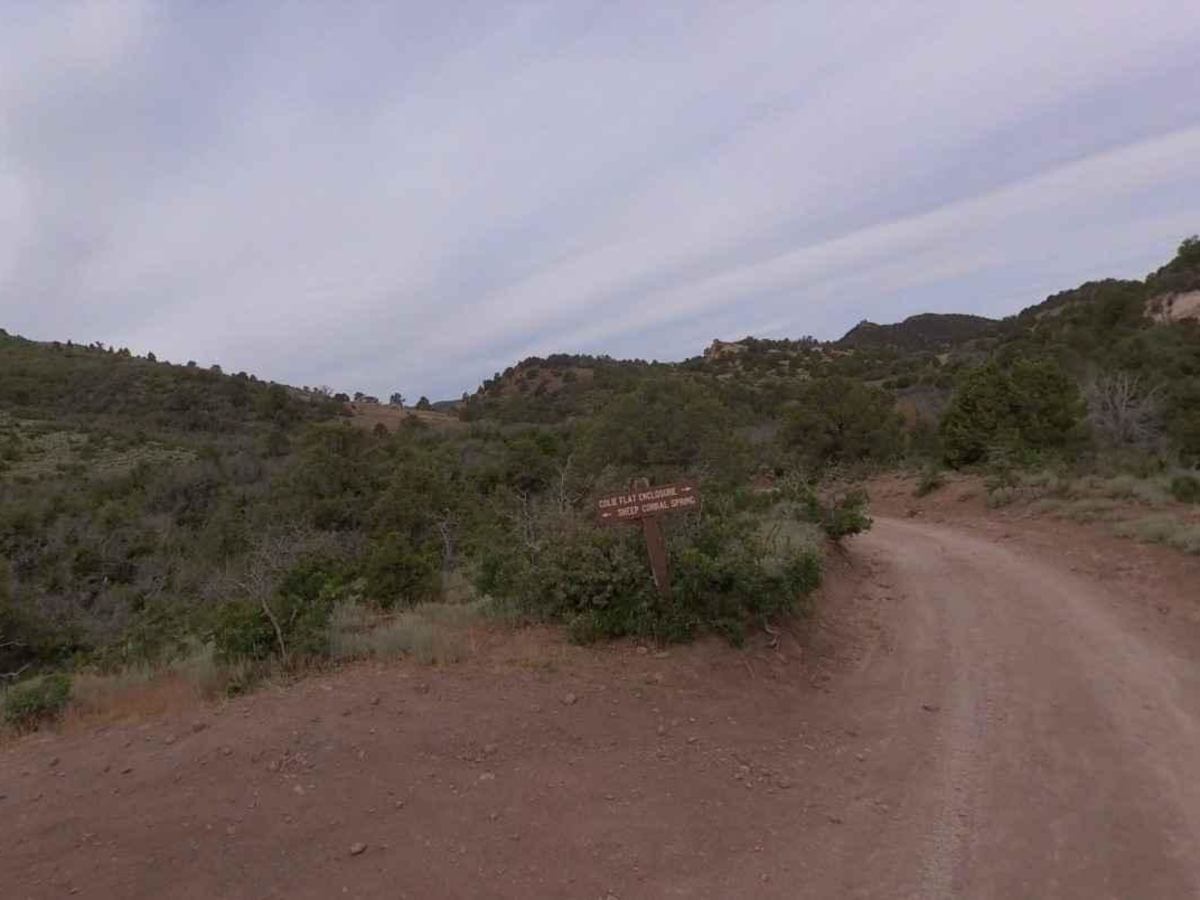 Colie Flat-FR30003 trail photo