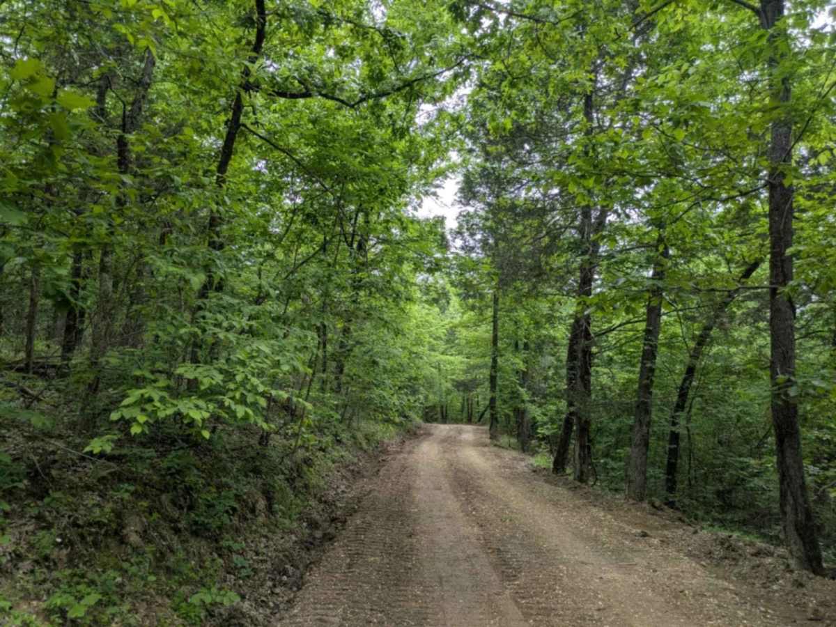 Hayden Road photo 5