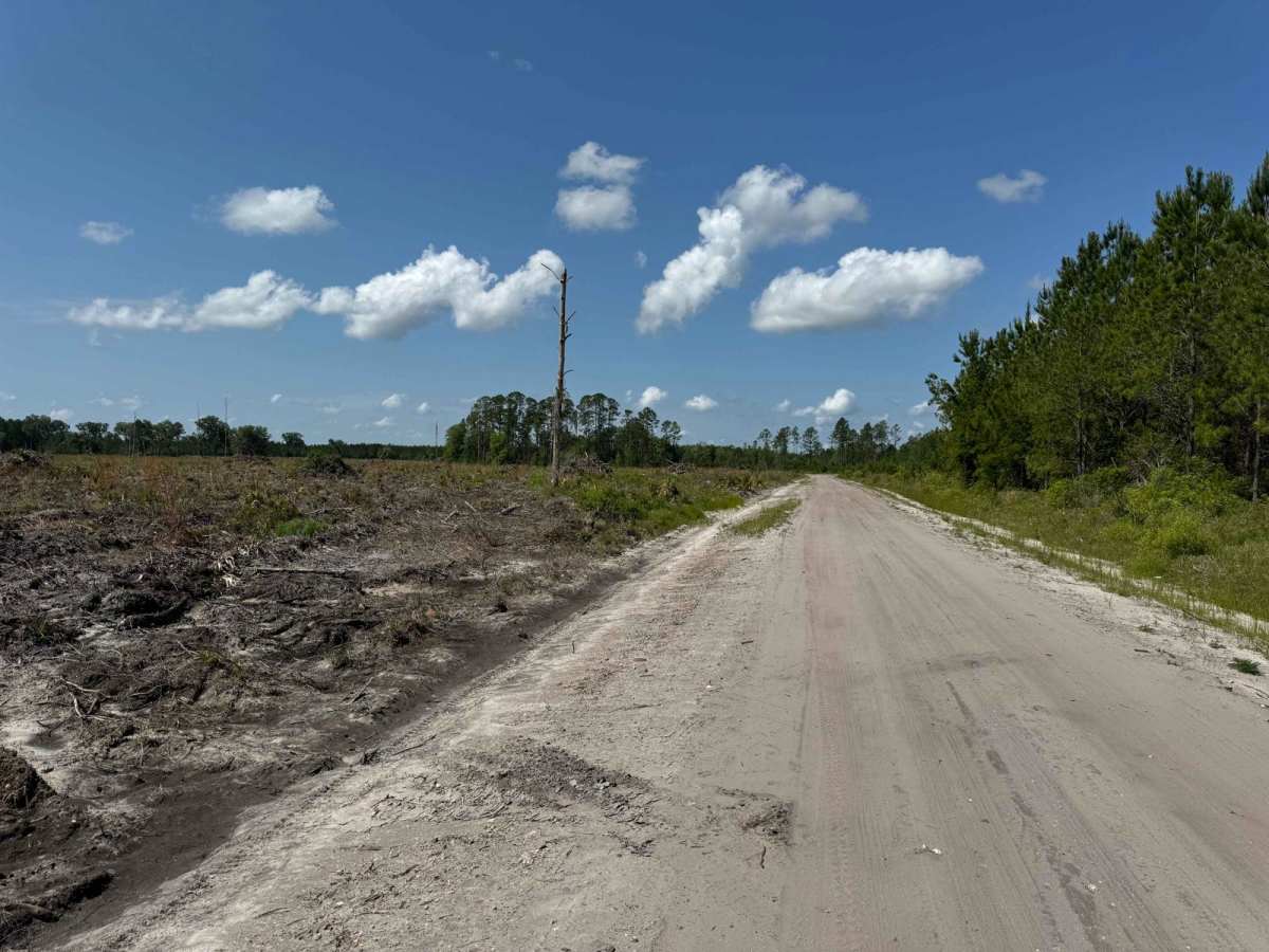 St. Johns River WMD West photo 4