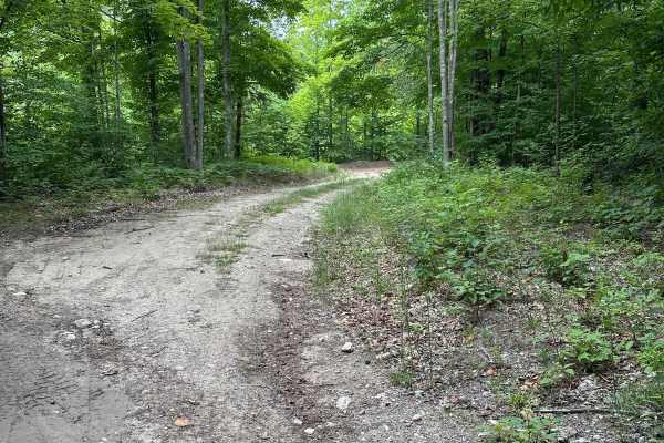 North Haze Road Part 4/48461
