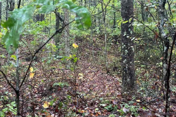 172 Single Track