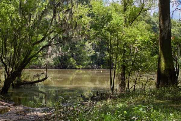 Jordan Lake Access