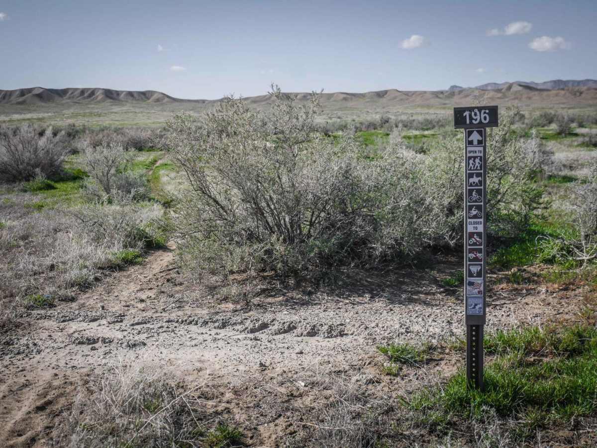 BLM Route 196 trail photo