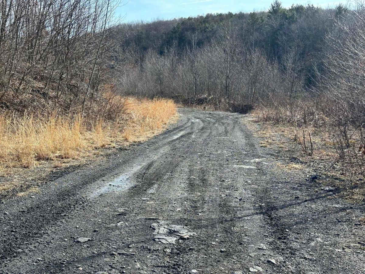 Locust Gap 37 photo 2