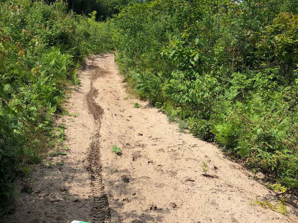 MCCCT - 66 to North 7 Mile trail photo