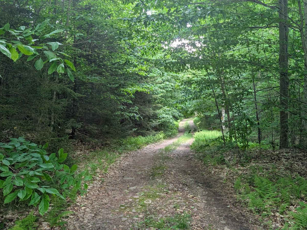 Sellecks Road Loop photo 2