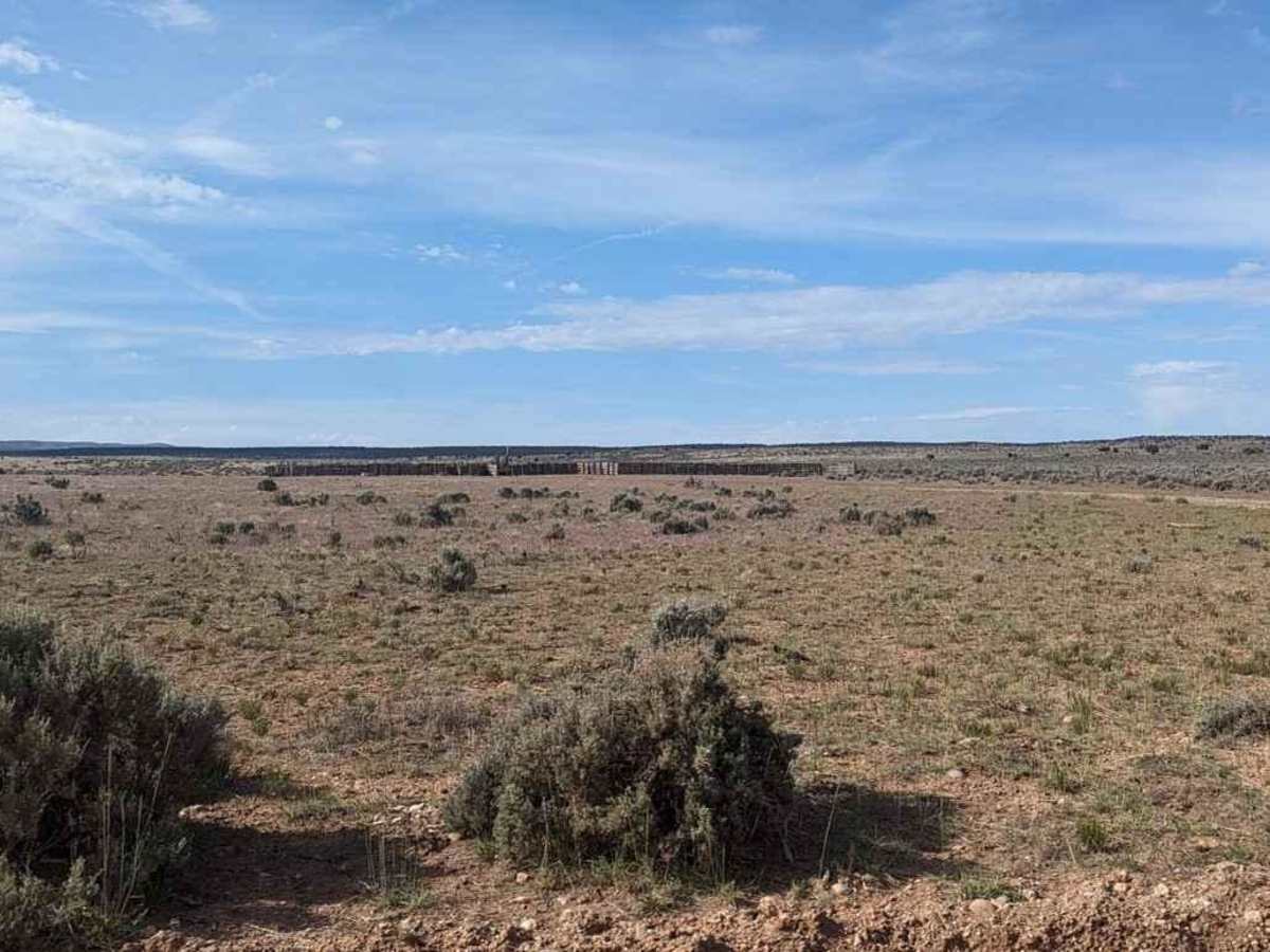 Gunsight Point Road - BLM1048-BLM164 photo 5