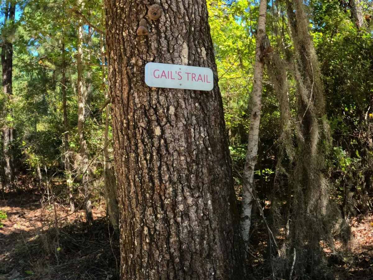 Gail's Trail trail photo