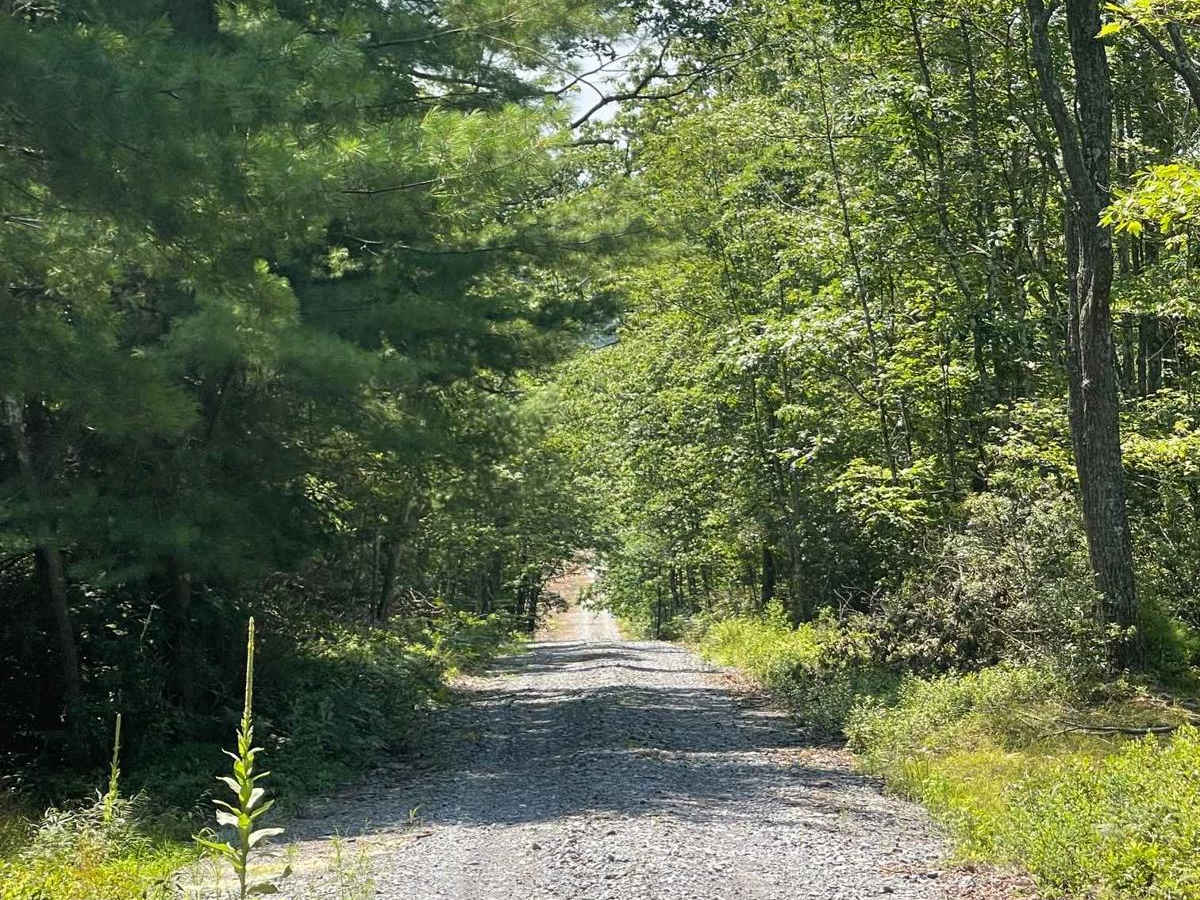 Zink Fork Road photo 2