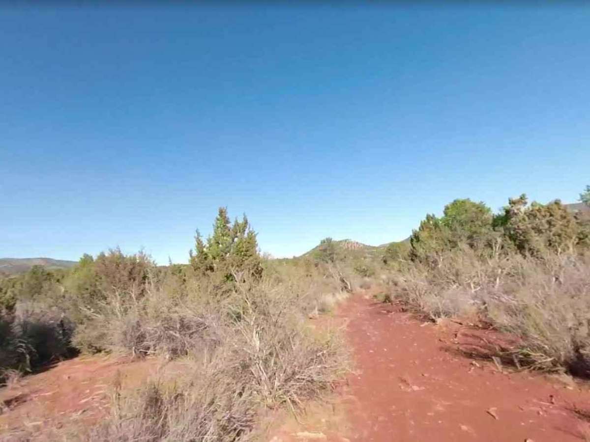 Black Rock Gulch Road-BLM1009 photo 6