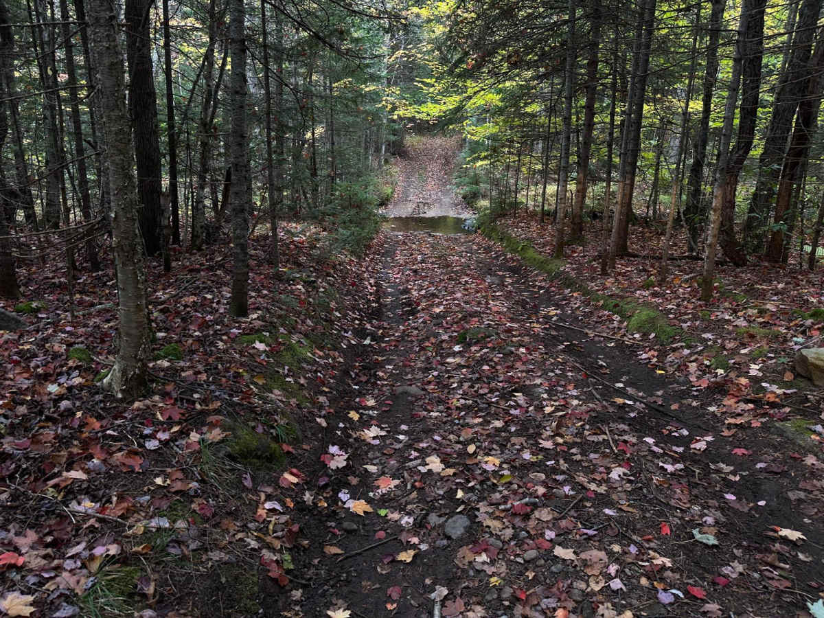 Old Camp Four Trail photo 2