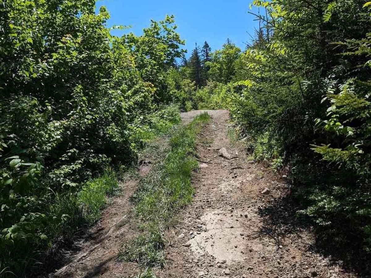 Flat Top Mountain photo 4