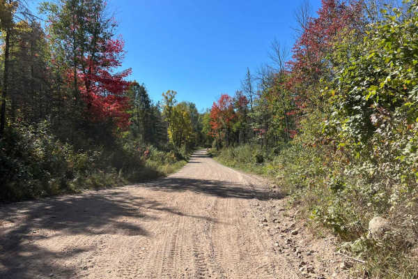 Trail 5- Forest Road 508