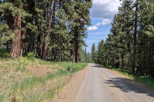 Wellamockin Road South NF46