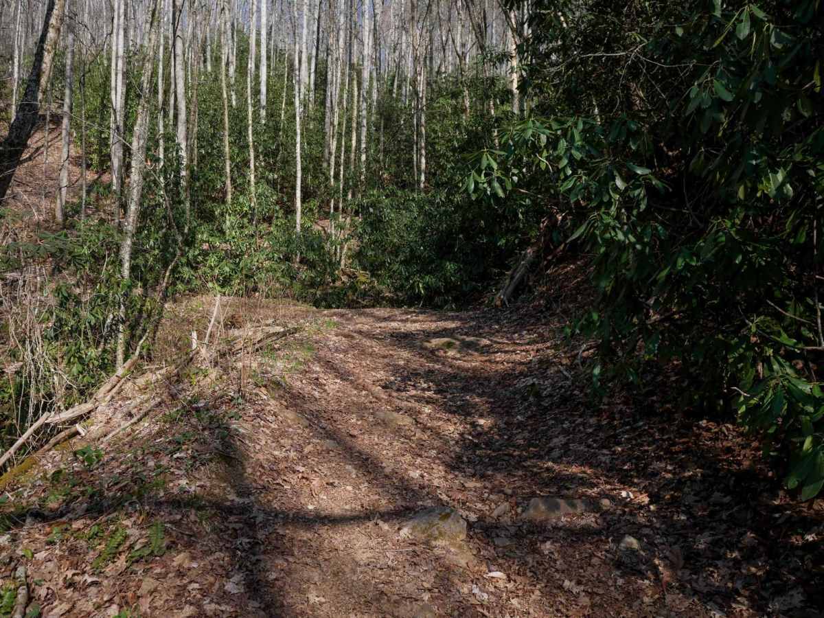Locust Gap Trail 2 photo 3
