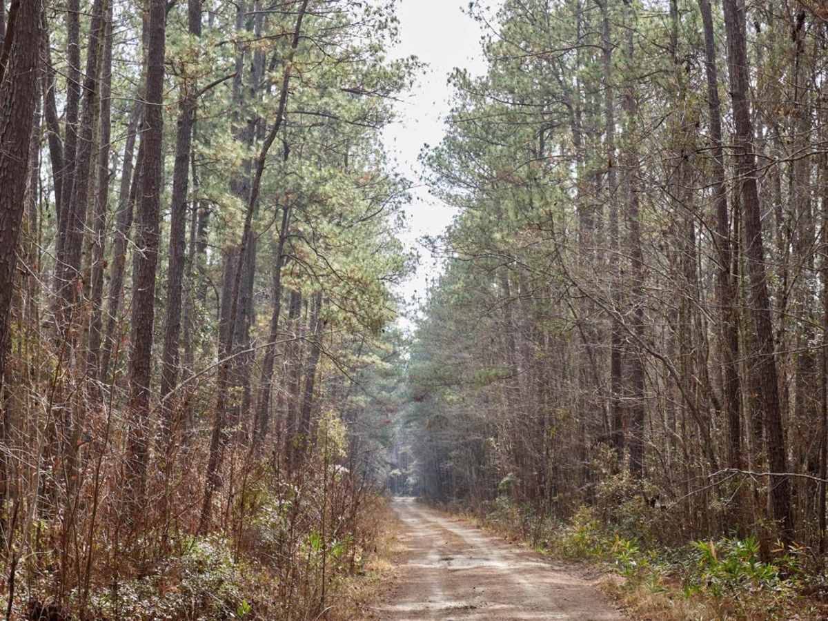 FSR115 - Bonneau Road photo 2