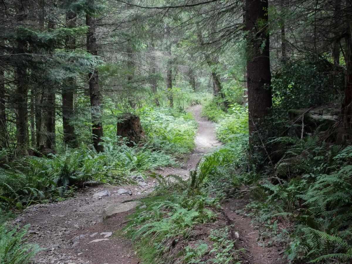 Doug's Loop trail photo
