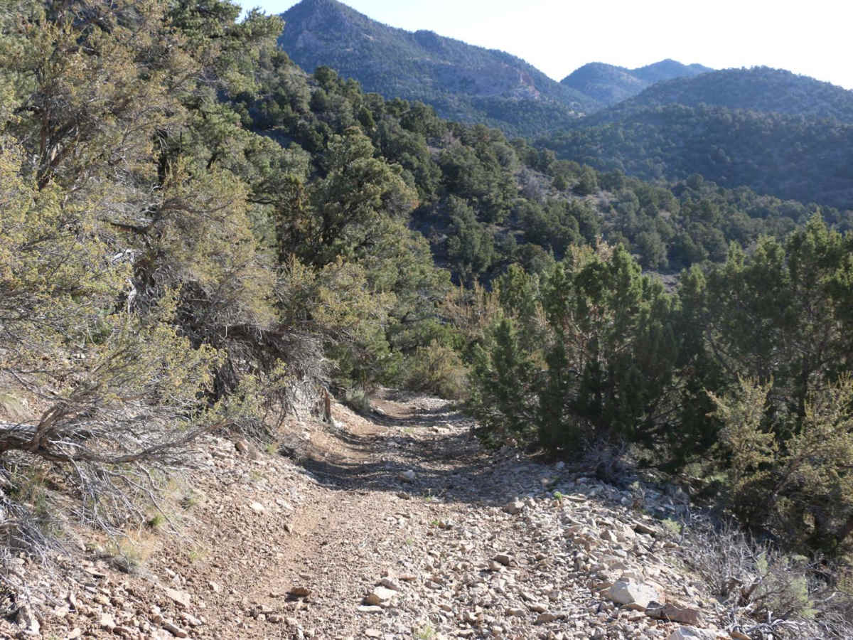 Dagmar Mine photo 6