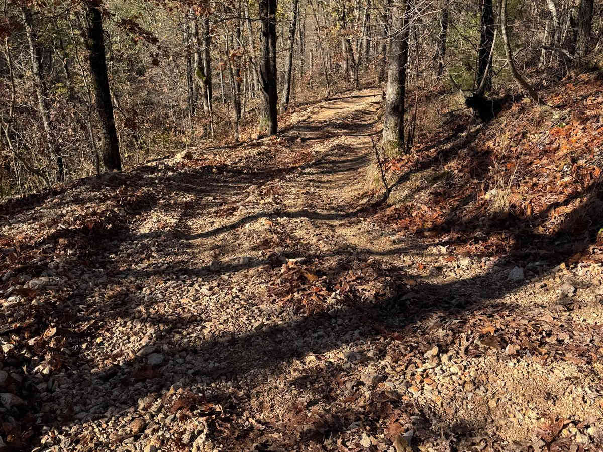 Green 123 trail photo