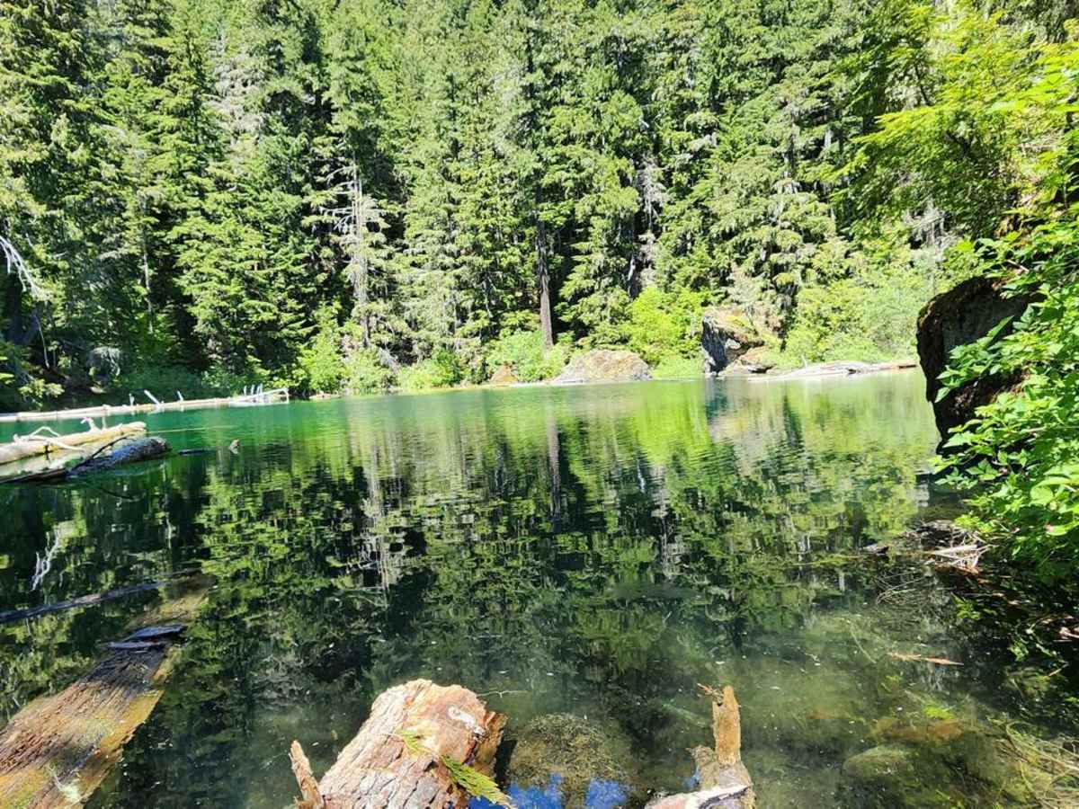 Goober Pond photo 5