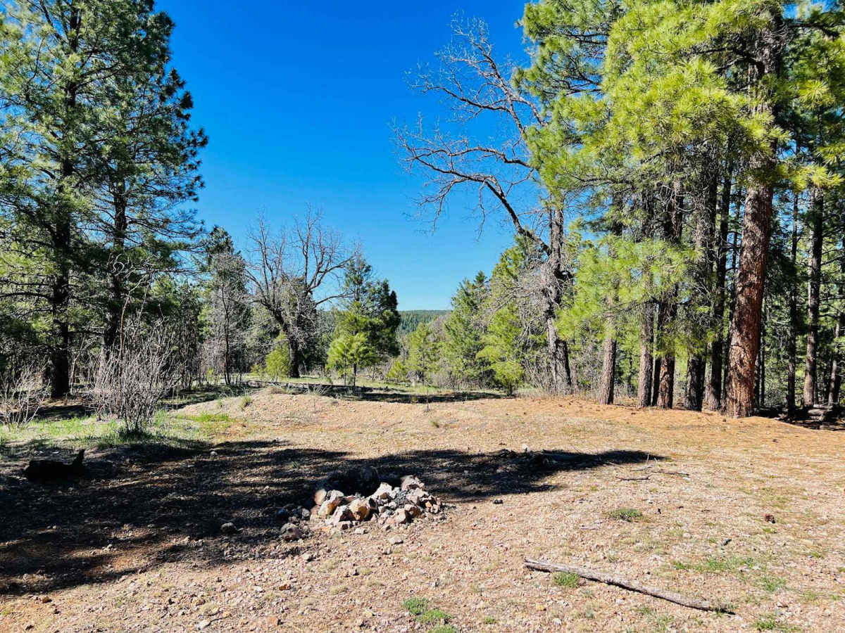 FR-142F Little View trail photo