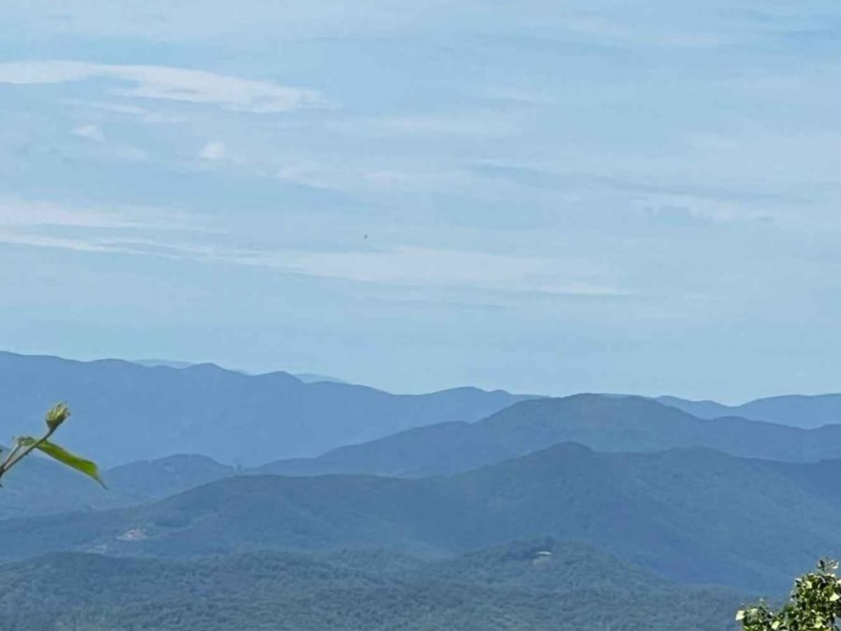 Gumlog Gap FS 95 trail photo