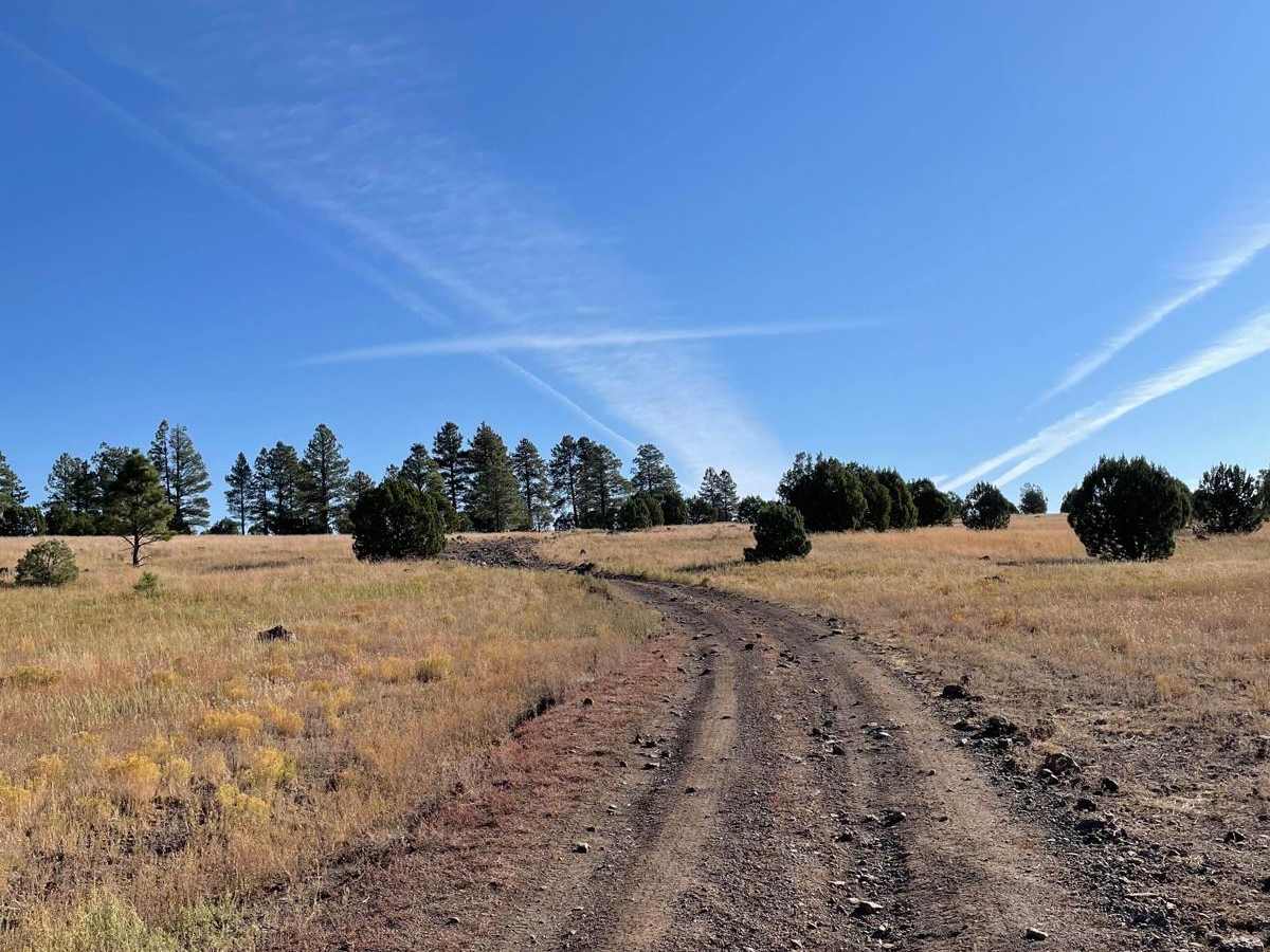 West FS 229 photo 2