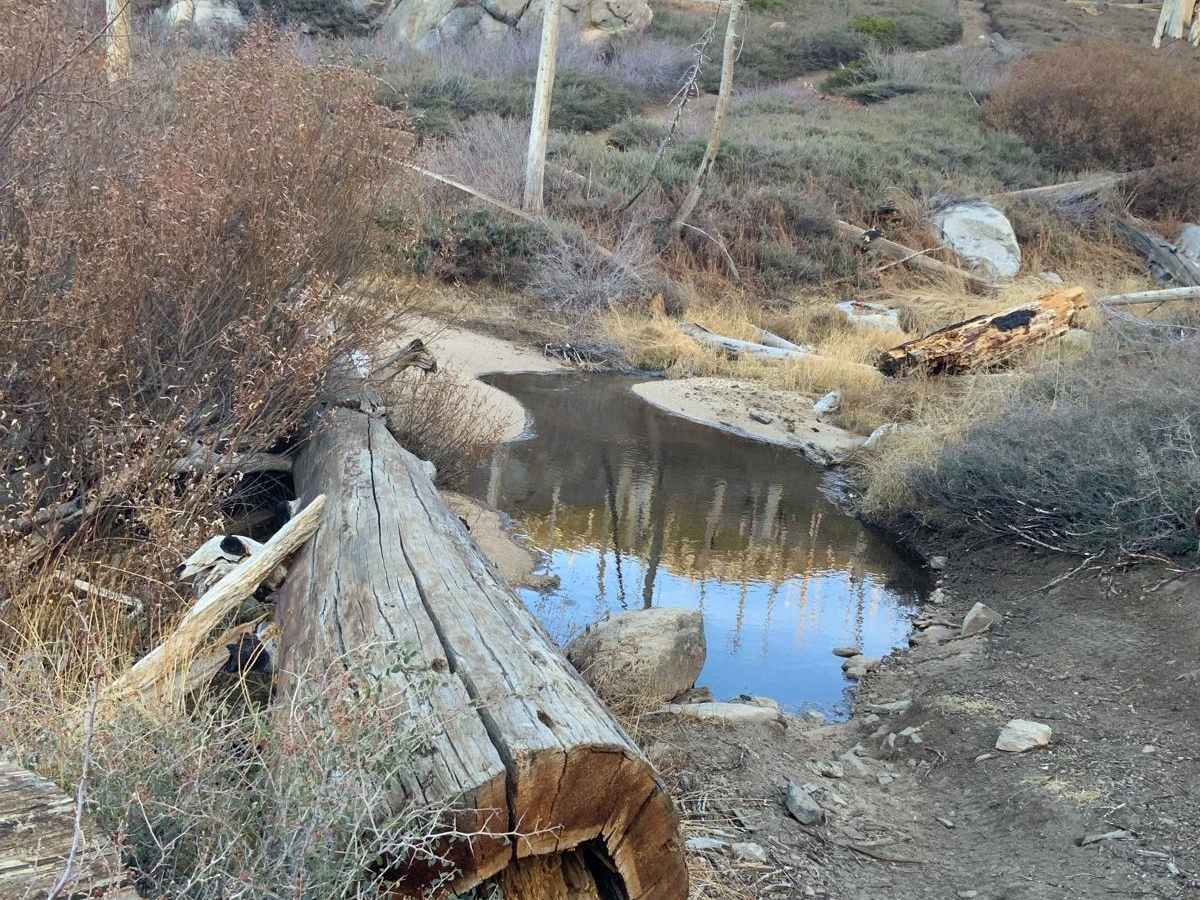 Sherman Pass 4x4 Jeep Trail photo 3