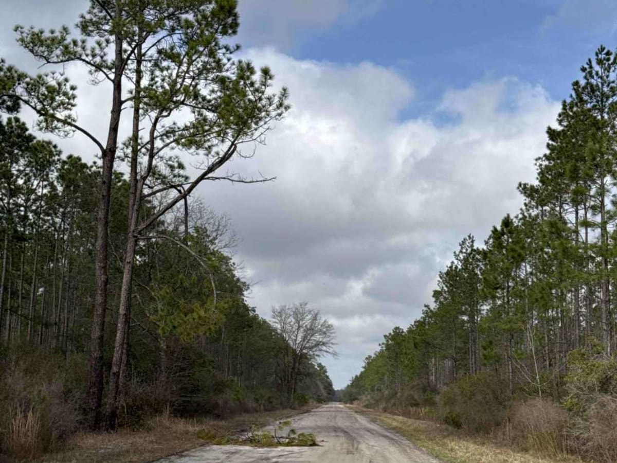 Jet Engine Road photo 4