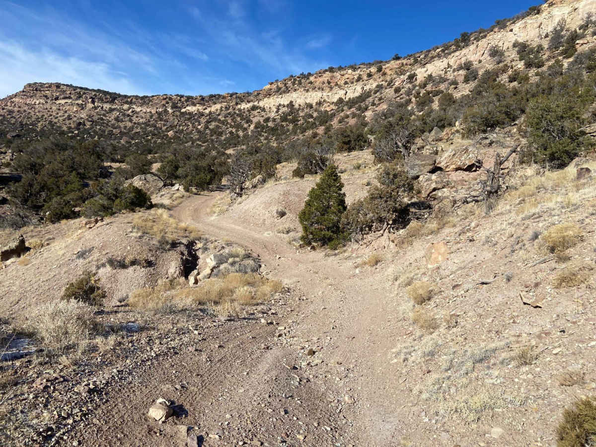 BLM Route 31 photo 5