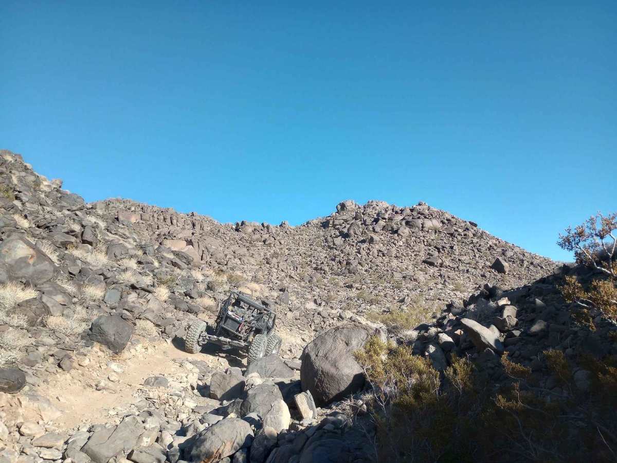 Blue Dot photo 5