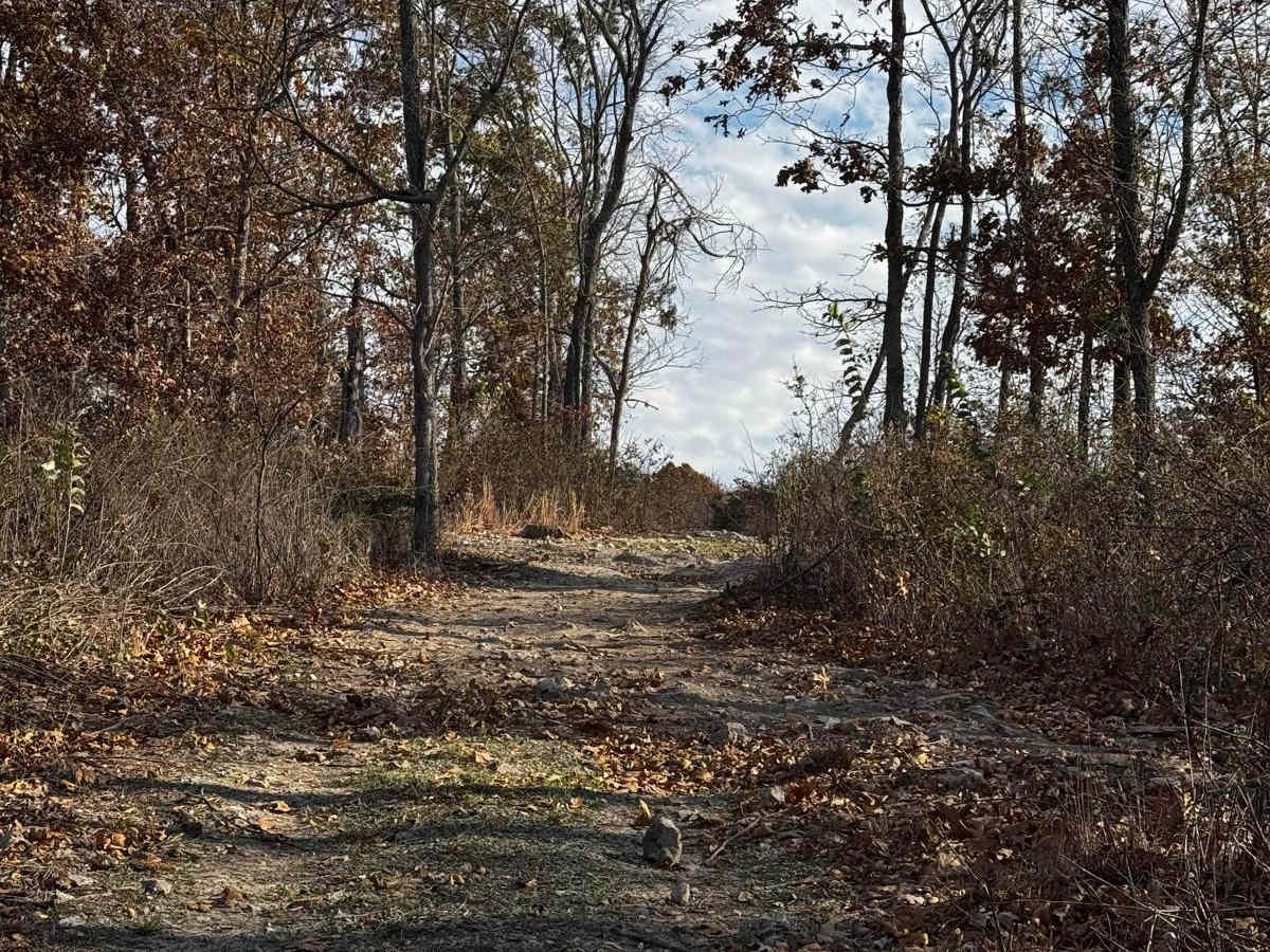 Greasy Lane trail photo