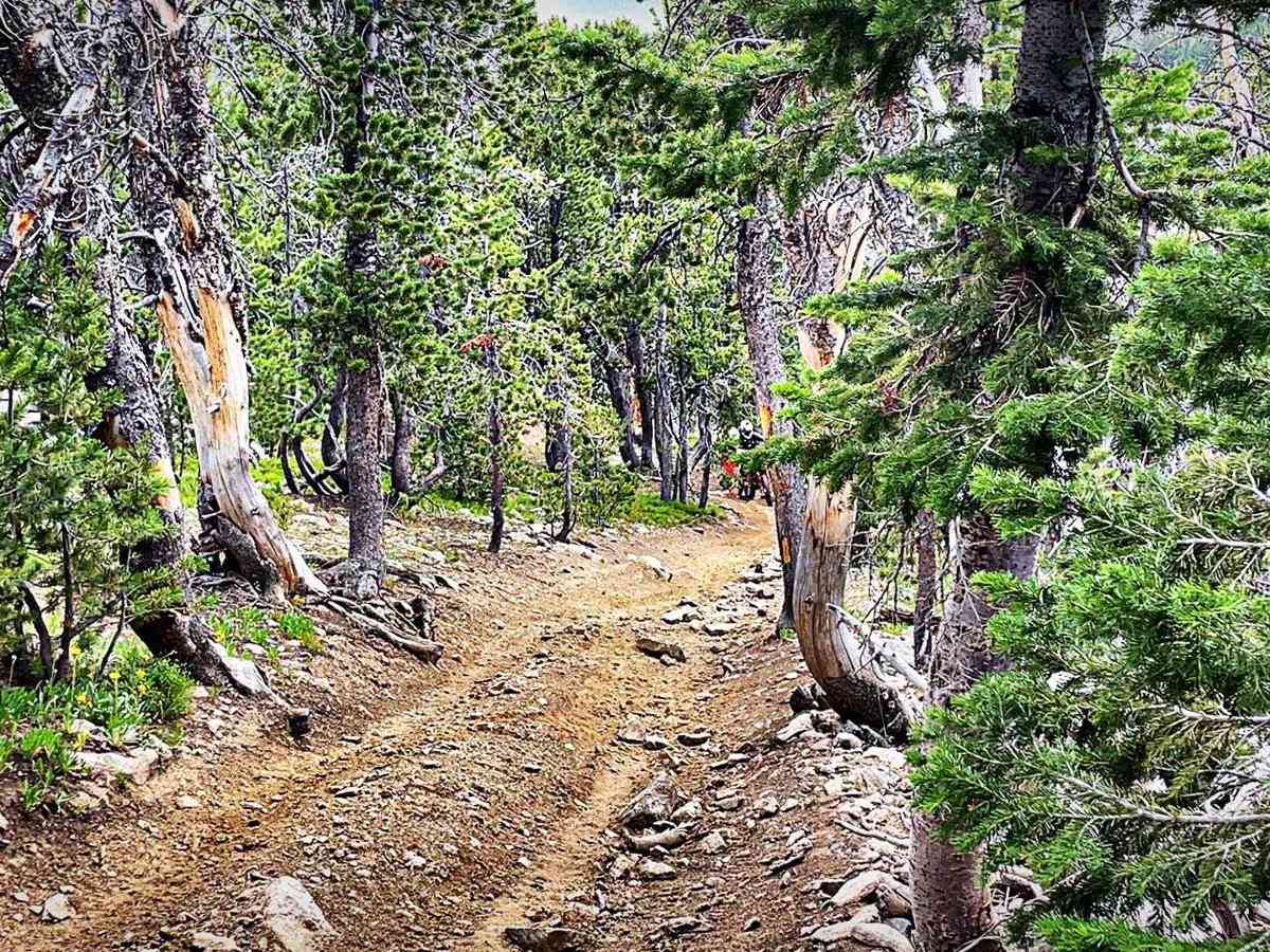 Granite Lake Trail photo 5