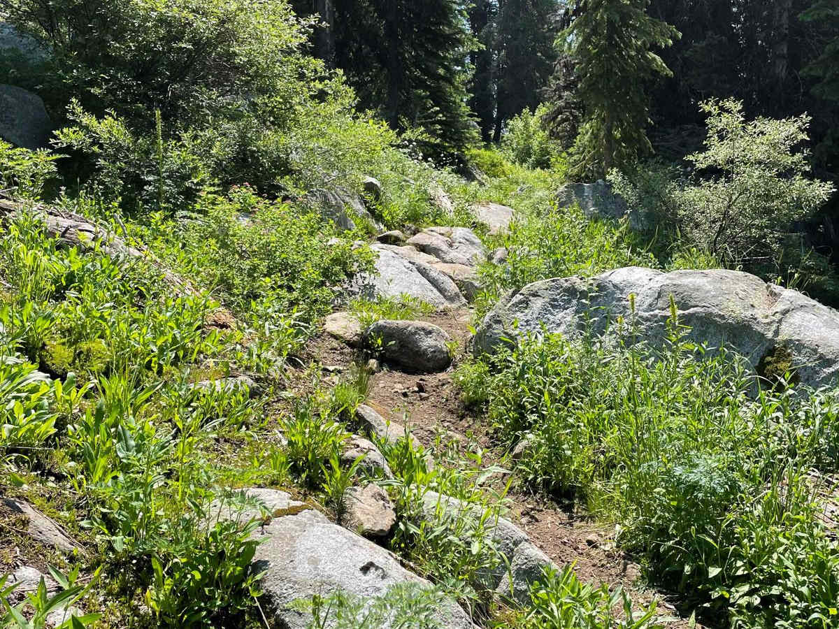 Hidden Lake Loop photo 5