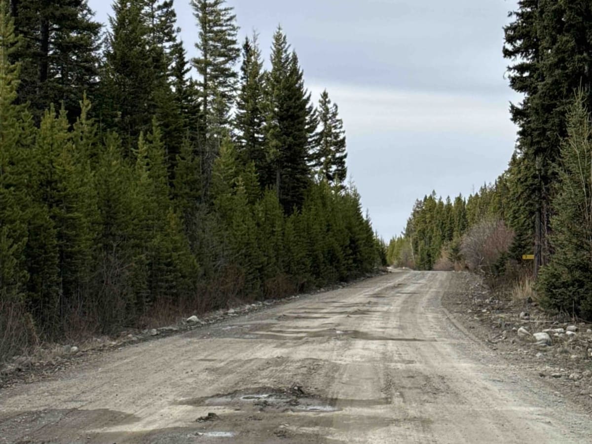 Shrimpton FSR to Buck Lake Recreation Site photo 4