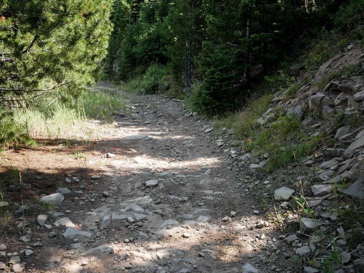 Jackson Divide ATV photo 3