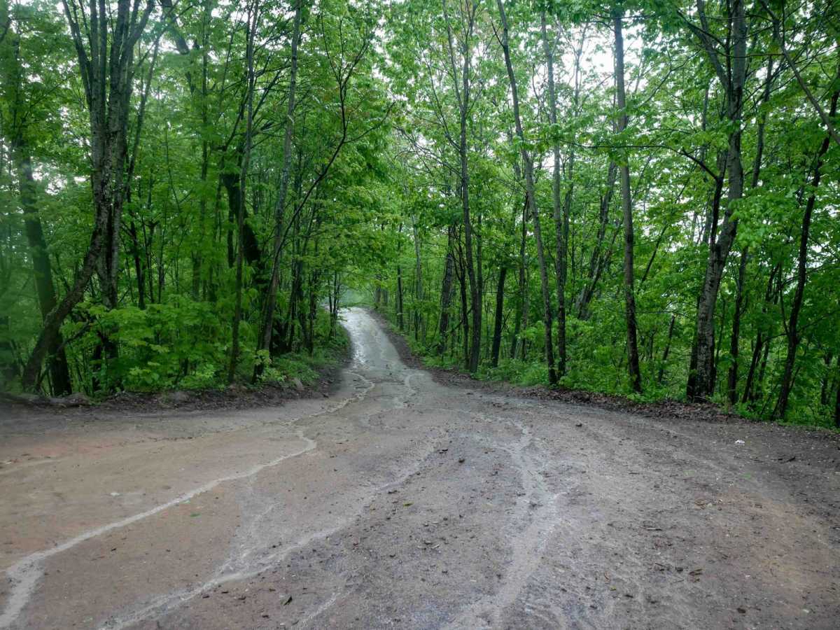 RH 15 photo 4