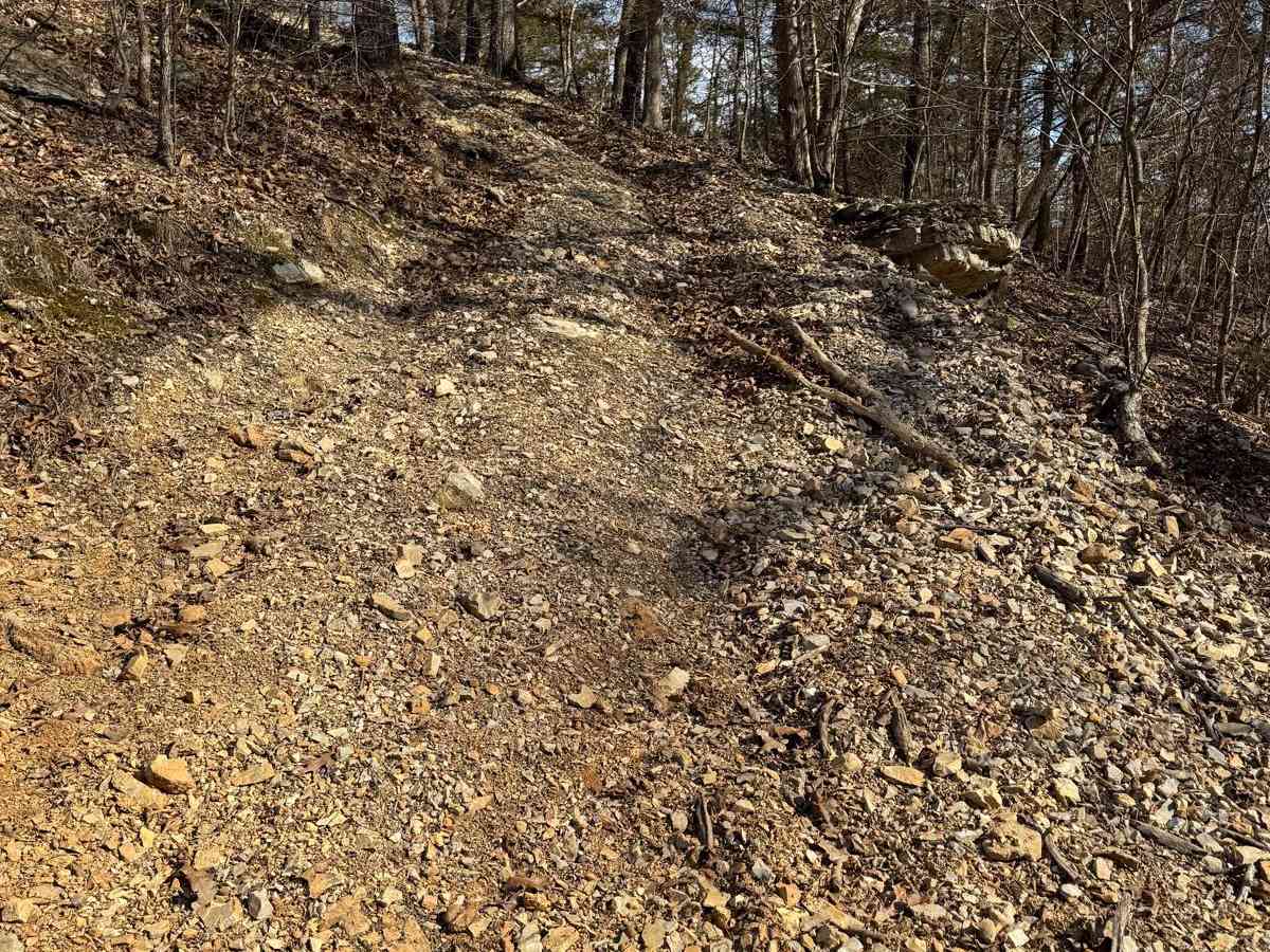 Yellow 436 trail photo